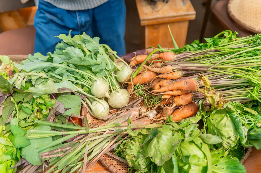 Farmer holding freshly harvested root vegetables