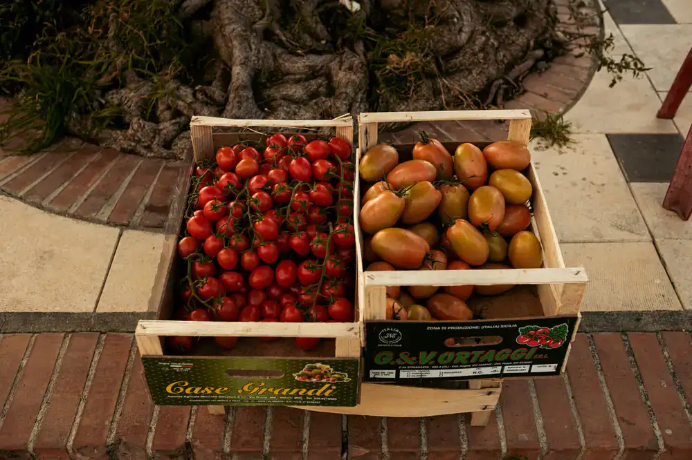 Wooden crates overflowing with ripe tomatoes and leafy greens