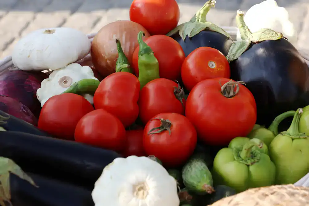 A wide view of fresh seasonal vegetables